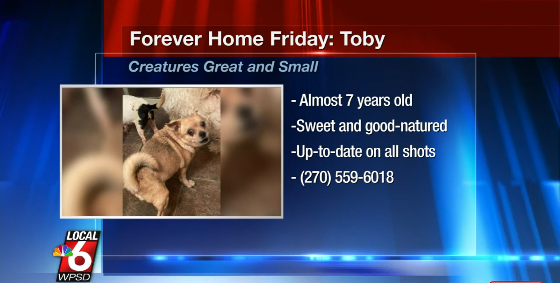 toby.PNG